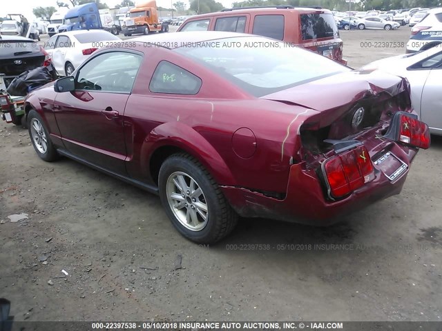 1ZVFT80N675252521 - 2007 FORD MUSTANG RED photo 3