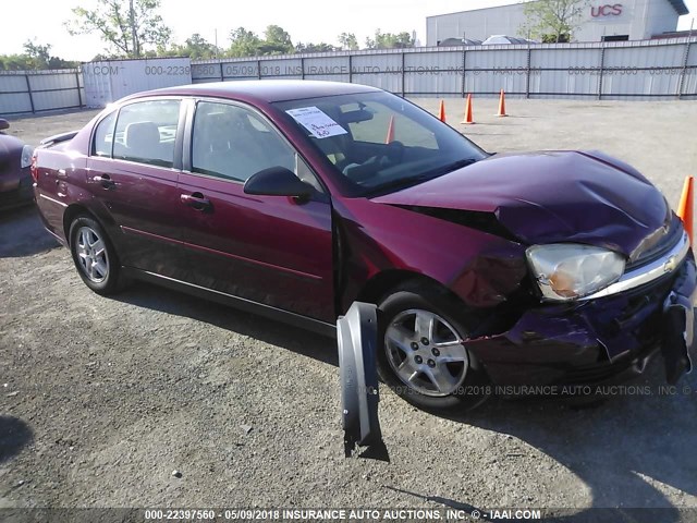 1G1ZT52865F314473 - 2005 CHEVROLET MALIBU LS ბურგუნდია ფოტო 1