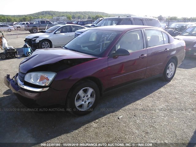 1G1ZT52865F314473 - 2005 CHEVROLET MALIBU LS ბურგუნდია ფოტო 2