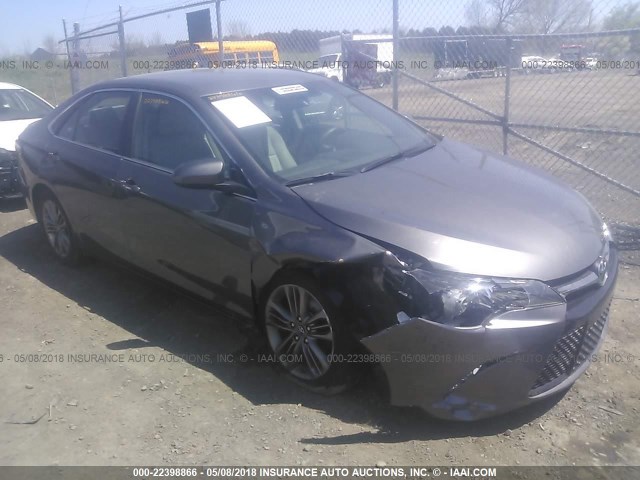 4T1BF1FKXHU753038 - 2017 TOYOTA CAMRY LE/XLE/SE/XSE GRAY photo 1