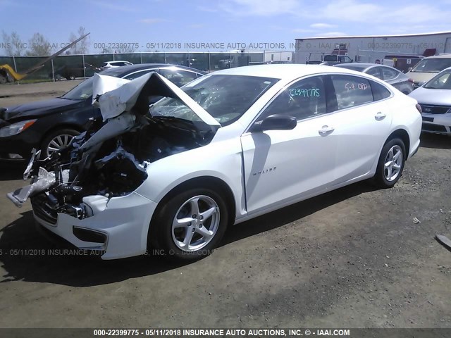 1G1ZB5ST2HF121703 - 2017 CHEVROLET MALIBU LS 白色 照片 2