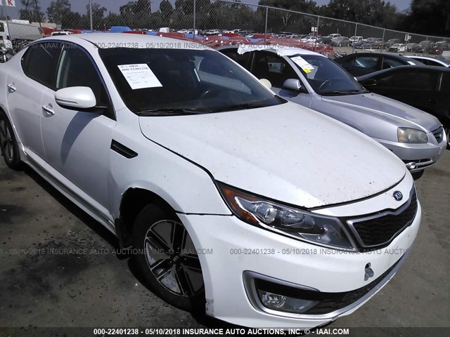 KNAGM4AD2C5033209 - 2012 KIA OPTIMA HYBRID WHITE photo 1