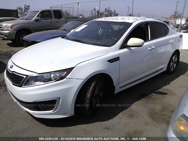 KNAGM4AD2C5033209 - 2012 KIA OPTIMA HYBRID WHITE photo 2