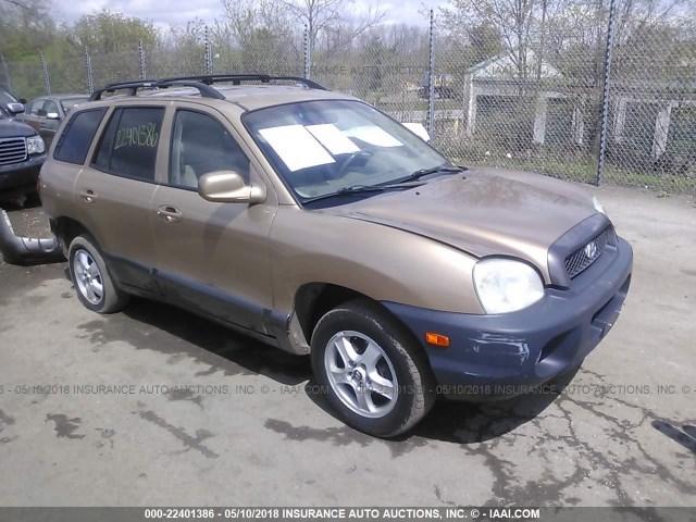 KM8SC13D64U794467 - 2004 HYUNDAI SANTA FE GLS/LX GOLD photo 1