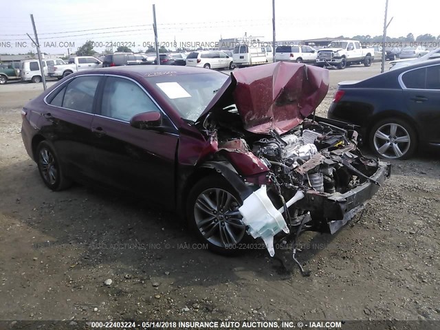 4T1BF1FK5FU952950 - 2015 TOYOTA CAMRY LE/XLE/SE/XSE RED photo 1