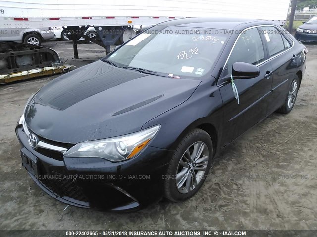 4T1BF1FK2GU542186 - 2016 TOYOTA CAMRY LE/XLE/SE/XSE BLACK photo 2