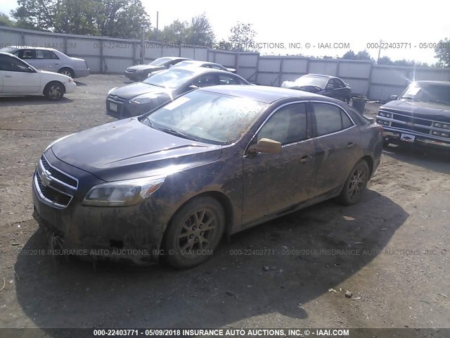 1G11A5SAXDF278100 - 2013 CHEVROLET MALIBU LS ნაცრისფერი ფოტო 2