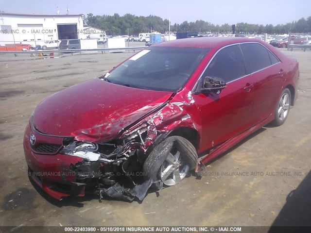 4T1BF1FK2EU772629 - 2014 TOYOTA CAMRY L/SE/LE/XLE RED photo 2