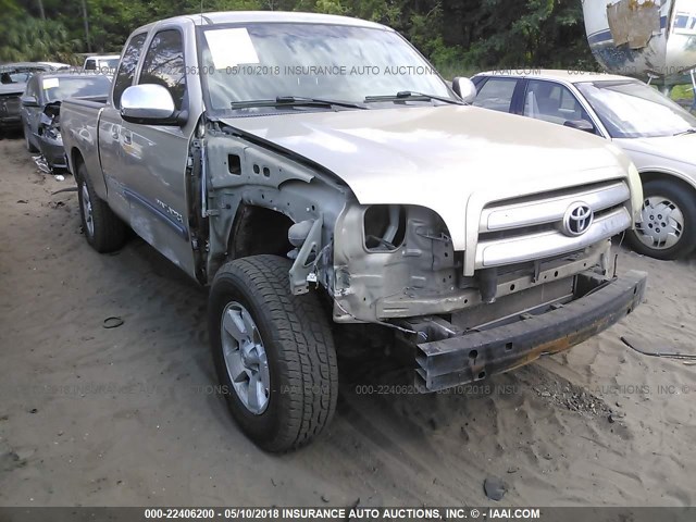 5TBRN341X4S438372 - 2004 TOYOTA TUNDRA ACCESS CAB SR5 GOLD photo 6