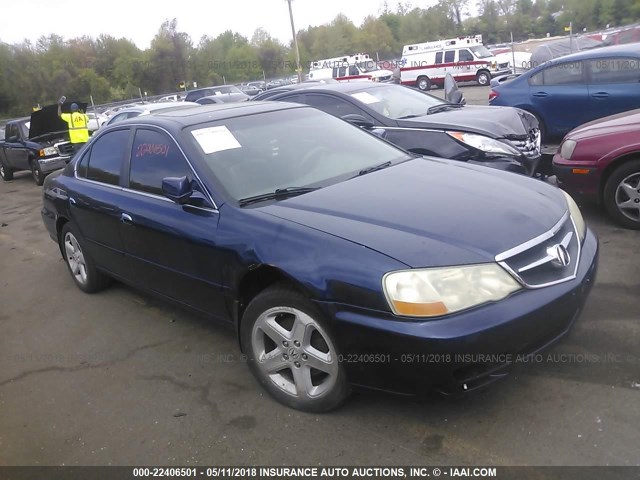 19UUA56692A051695 - 2002 ACURA 3.2TL Көк фото 1