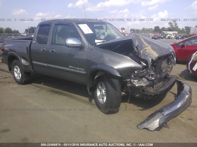 5TBBT44175S463308 - 2005 TOYOTA TUNDRA ACCESS CAB SR5 GRAY photo 1