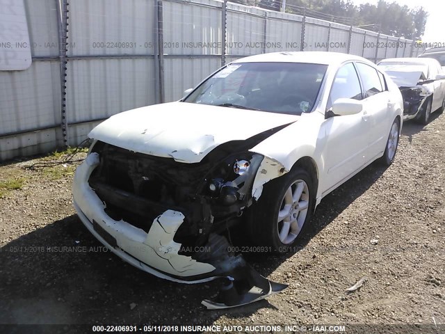 1N4BA41E04C855038 - 2004 NISSAN MAXIMA SE/SL WHITE photo 2