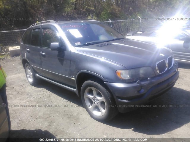 5UXFA53523LV83796 - 2003 BMW X5 3.0I GRAY photo 1