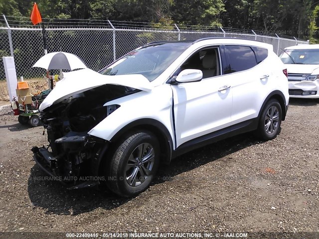 5XYZU3LB8EG149476 - 2014 HYUNDAI SANTA FE SPORT  WHITE photo 2