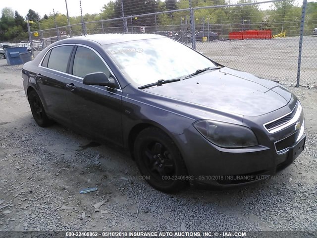 1G1ZB5EB6A4155065 - 2010 CHEVROLET MALIBU LS GRAY photo 1