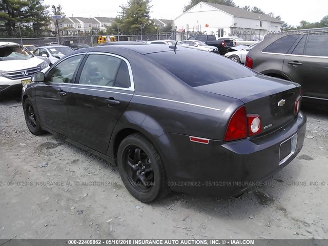 1G1ZB5EB6A4155065 - 2010 CHEVROLET MALIBU LS GRAY photo 3