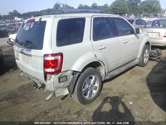 1FMCU04G99KC04575 - 2009 FORD ESCAPE LIMITED WHITE photo 4