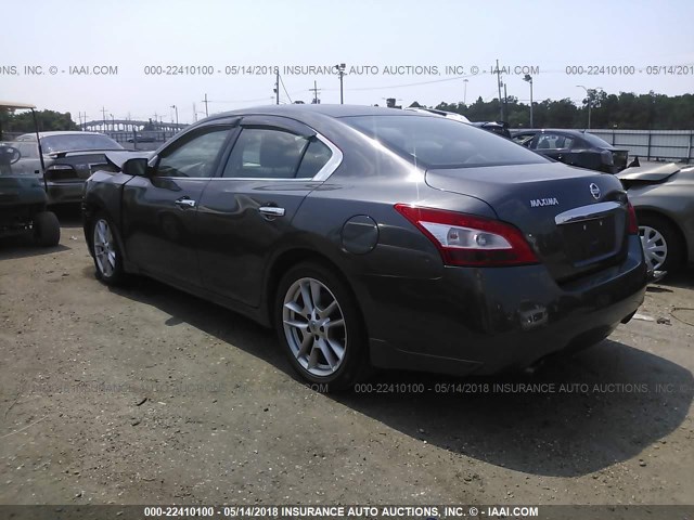 1N4AA51E39C854815 - 2009 NISSAN MAXIMA S/SV GRAY photo 3