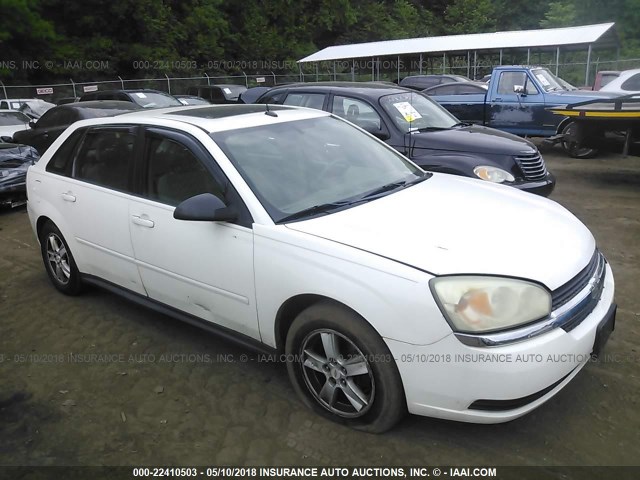 1G1ZT64874F198122 - 2004 CHEVROLET MALIBU MAXX LS WHITE photo 1