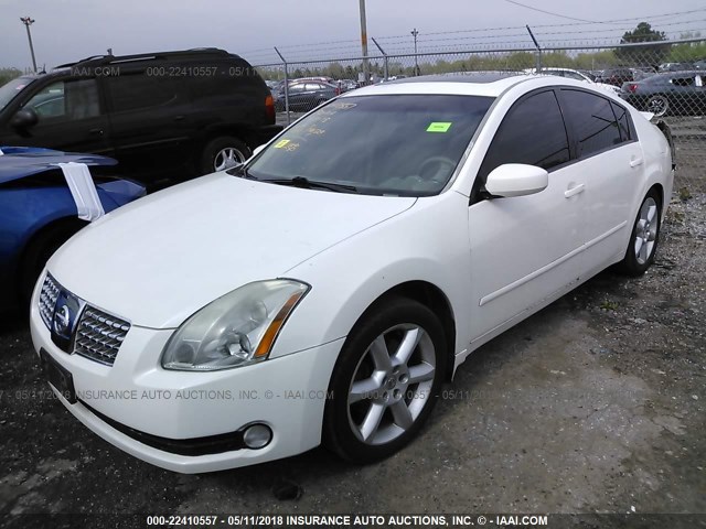 1N4BA41E36C864402 - 2006 NISSAN MAXIMA SE/SL WHITE photo 2