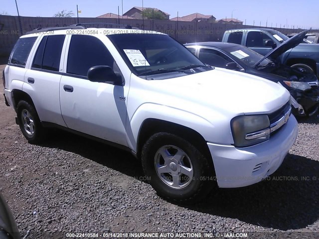 1GNDT13SX22308769 - 2002 CHEVROLET TRAILBLAZER  WHITE photo 1