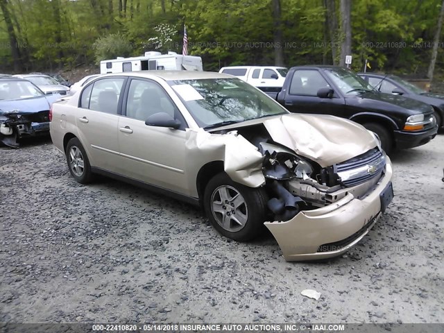 1G1ZT52875F299210 - 2005 CHEVROLET MALIBU LS ოქროსფერი ფოტო 1