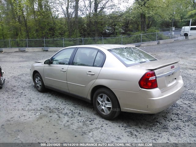 1G1ZT52875F299210 - 2005 CHEVROLET MALIBU LS ოქროსფერი ფოტო 3