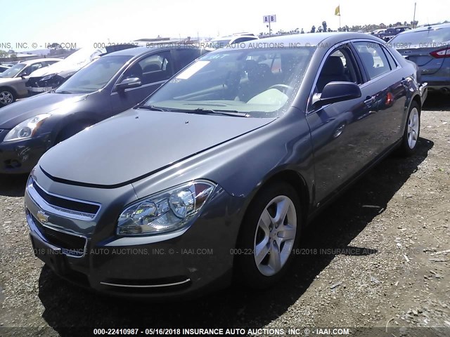 1G1ZG57B39F209307 - 2009 CHEVROLET MALIBU LS 蓝色 照片 2