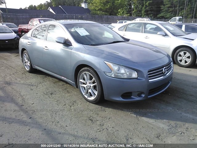 1N4AA5AP6AC804576 - 2010 NISSAN MAXIMA S/SV BLUE photo 1