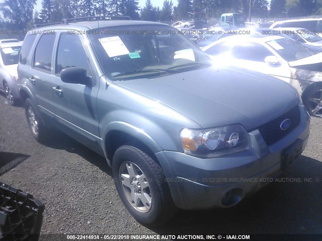 1FMYU94116KD46520 - 2006 FORD ESCAPE LIMITED GRAY photo 1