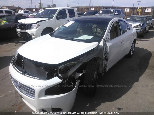 1N4AA5APXAC816164 - 2010 NISSAN MAXIMA S/SV WHITE photo 2