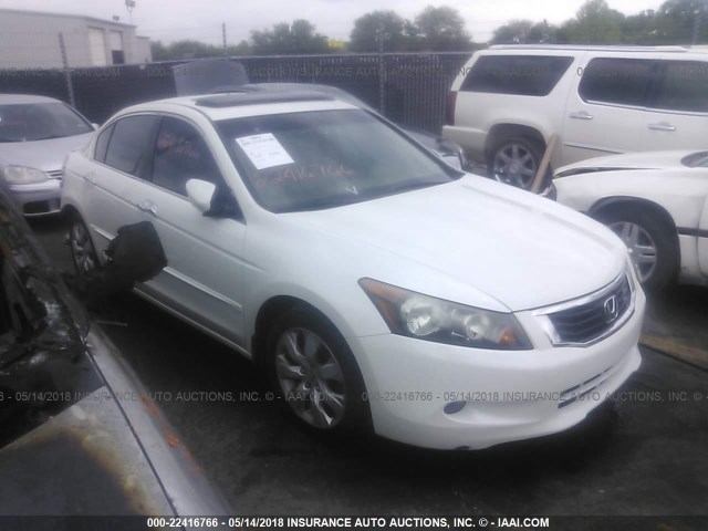 1HGCP36808A034146 - 2008 HONDA ACCORD EXL WHITE photo 1