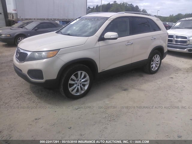 5XYKTDA2XBG092352 - 2011 KIA SORENTO LX CREAM photo 2