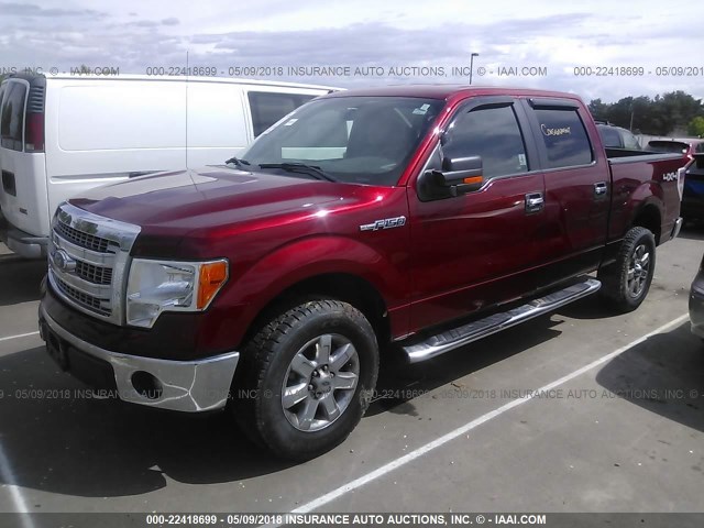 1FTFW1EF0EKF73004 - 2014 FORD F150 SUPERCREW BURGUNDY photo 2