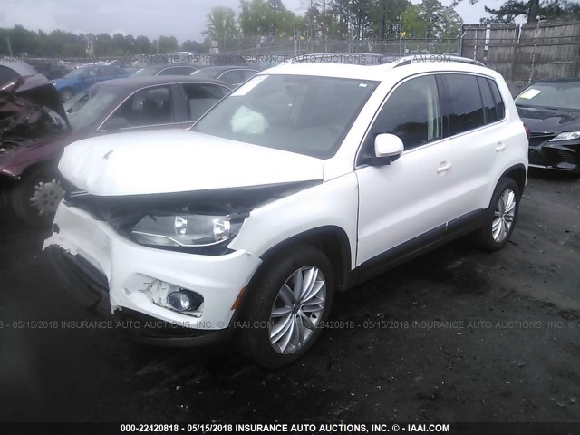 WVGAV3AX4DW620710 - 2013 VOLKSWAGEN TIGUAN S/SE/SEL WHITE photo 2