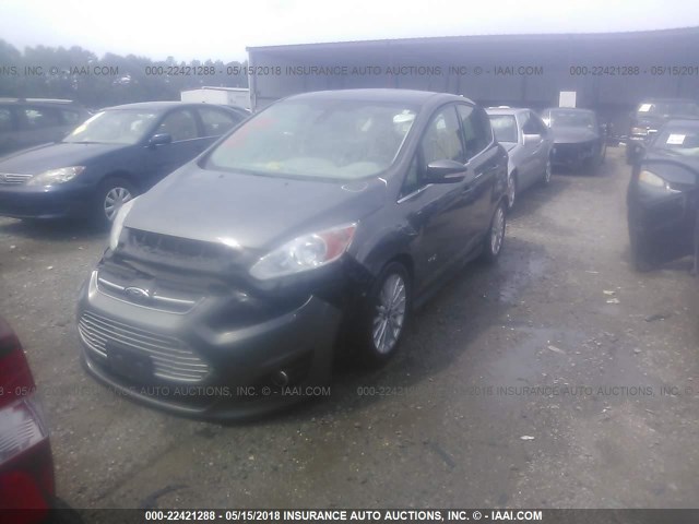 1FADP5BU4DL549348 - 2013 FORD C-MAX SEL GRAY photo 2