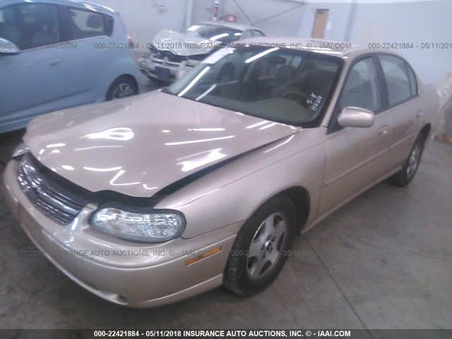 1G1NE52J93M515420 - 2003 CHEVROLET MALIBU LS GOLD photo 2