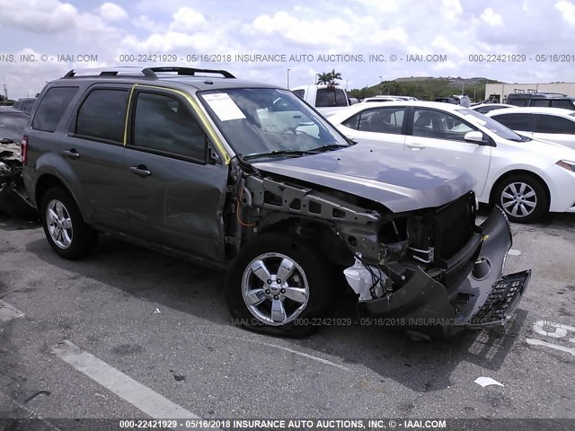 1FMCU0EG9AKC64066 - 2010 FORD ESCAPE LIMITED GRAY photo 1