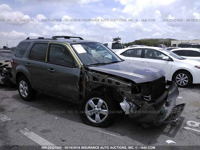 1FMCU0EG9AKC64066 - 2010 FORD ESCAPE LIMITED GRAY photo 6