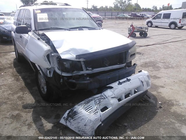 1GNDS13S622442214 - 2002 CHEVROLET TRAILBLAZER  WHITE photo 6