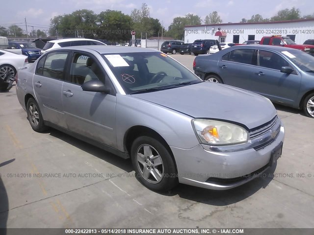 1G1ZT54885F182796 - 2005 CHEVROLET MALIBU LS ვერცხლისფერი ფოტო 1