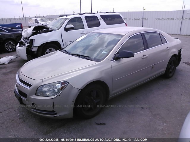 1G1ZG57B09F135215 - 2009 CHEVROLET MALIBU LS 金色 照片 2