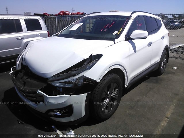 5XYZU3LB7EG208047 - 2014 HYUNDAI SANTA FE SPORT  WHITE photo 2