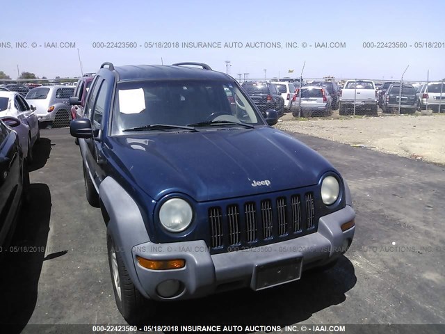 1J4GL48KX2W124130 - 2002 JEEP LIBERTY SPORT BLUE photo 6