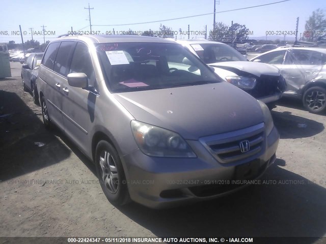 5FNRL38726B451135 - 2006 HONDA ODYSSEY EXL GOLD photo 1