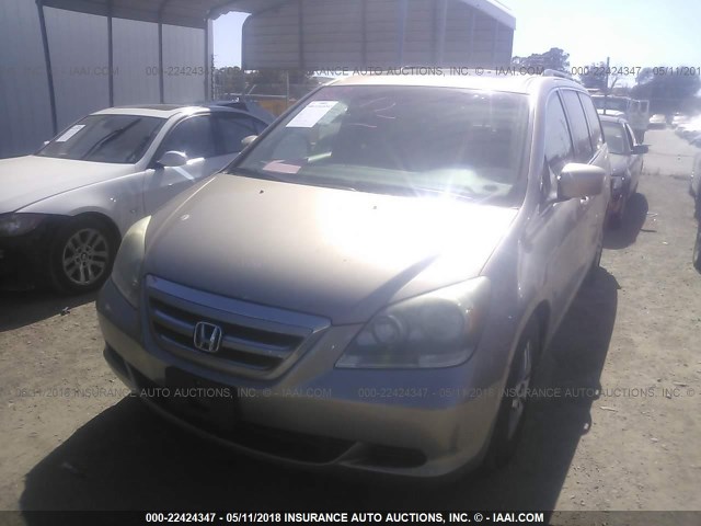 5FNRL38726B451135 - 2006 HONDA ODYSSEY EXL ოქროსფერი ფოტო 2