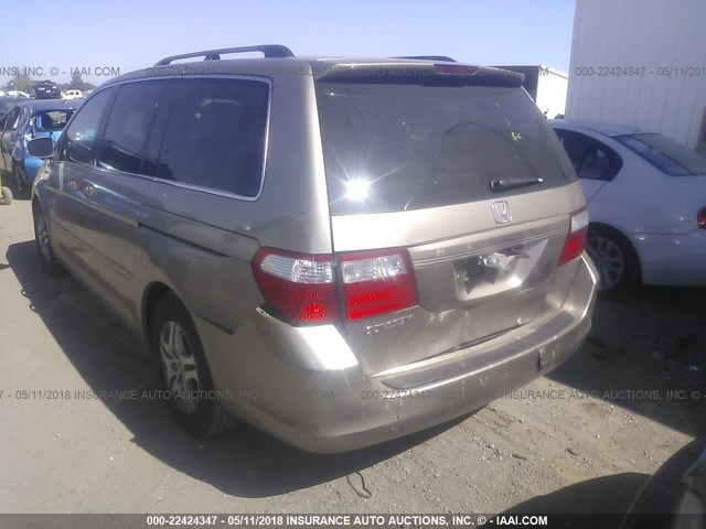 5FNRL38726B451135 - 2006 HONDA ODYSSEY EXL GOLD photo 3