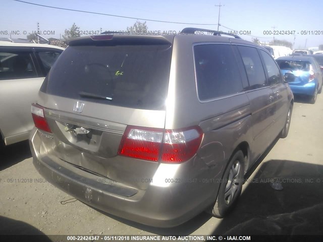 5FNRL38726B451135 - 2006 HONDA ODYSSEY EXL ოქროსფერი ფოტო 4