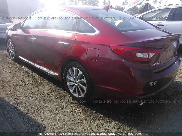 5NPE34AF4FH116854 - 2015 HYUNDAI SONATA SPORT/LIMITED RED photo 3