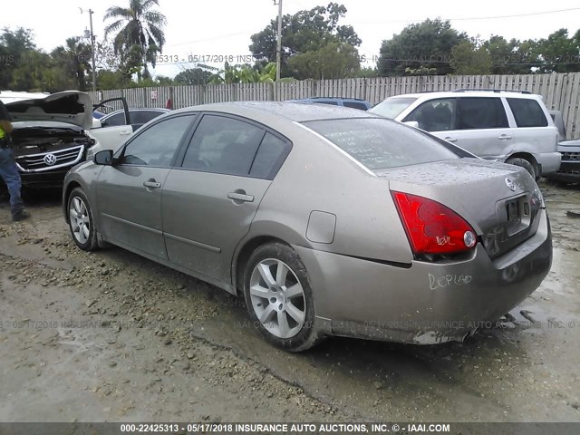 1N4BA41E95C859865 - 2005 NISSAN MAXIMA SE/SL TAN photo 3